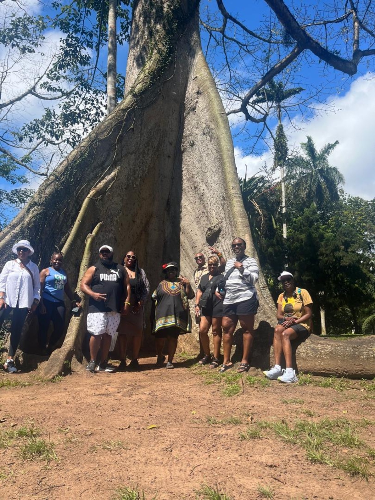 tree at aburi botanical