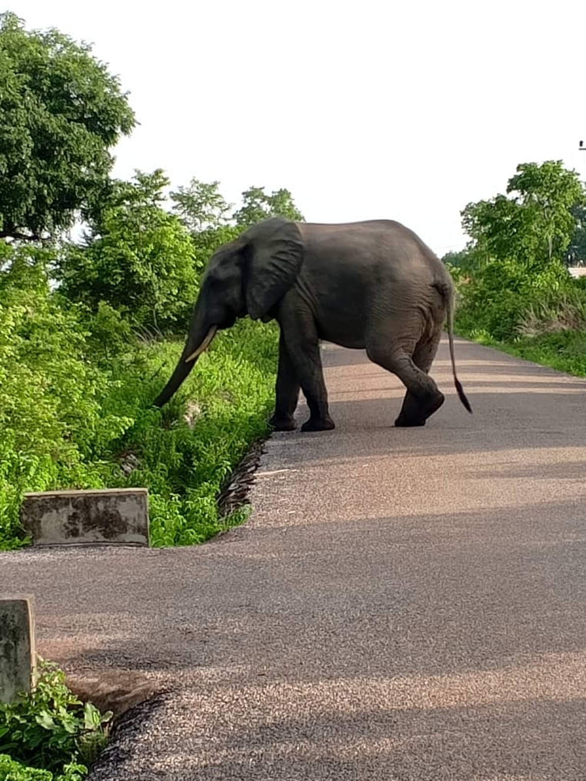 Multi-day Tours